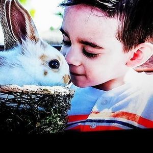 Meet your Posher, Elva